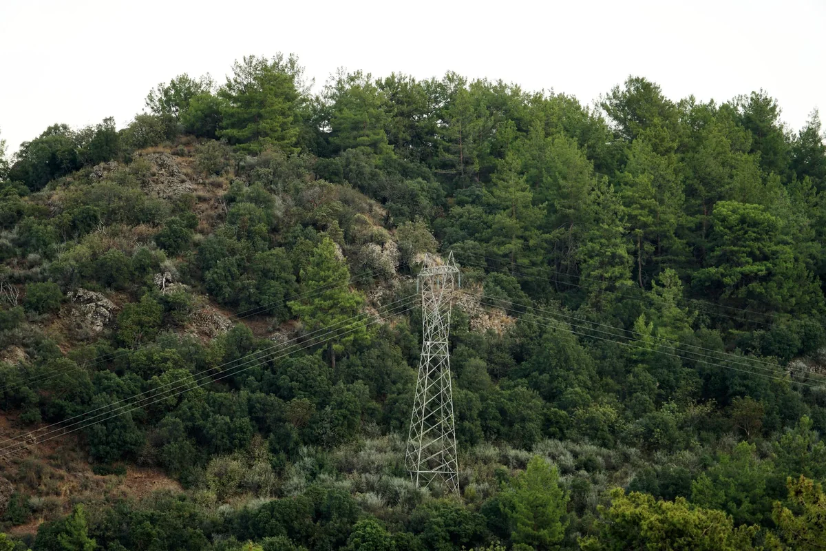 Corredor de linha elétrica numa encosta arborizada